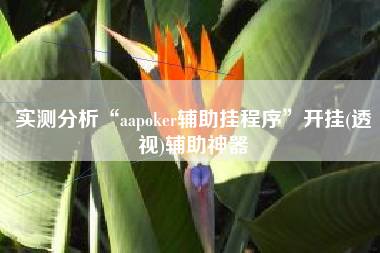 实测分析“aapoker辅助挂程序”开挂(透视)辅助神器