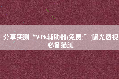 分享实测“WPK辅助器(免费)	”(曝光透视必备猫腻