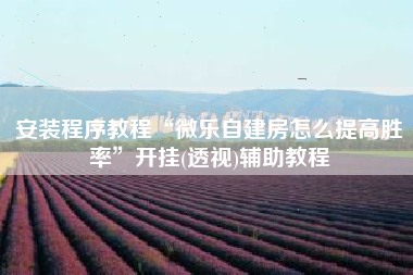 安装程序教程“微乐自建房怎么提高胜率”开挂(透视)辅助教程