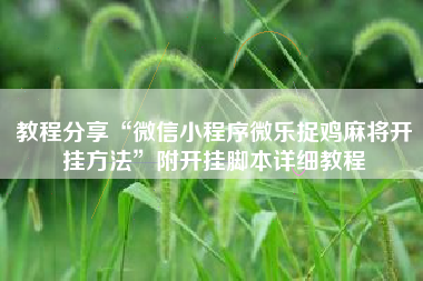 教程分享“微信小程序微乐捉鸡麻将开挂方法”附开挂脚本详细教程
