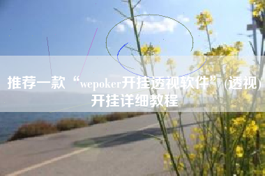 推荐一款“wepoker开挂透视软件	”(透视)开挂详细教程