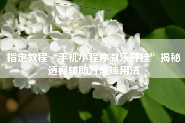 指定教程“手机小程序微乐开挂	”揭秘透视辅助万能挂用法