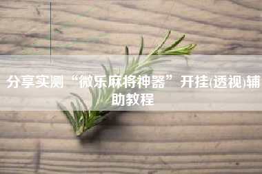 分享实测“微乐麻将神器”开挂(透视)辅助教程