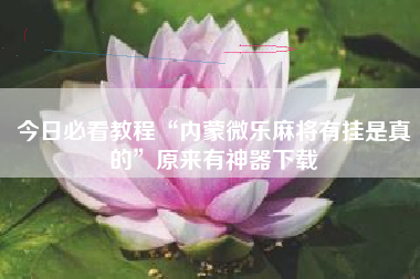 今日必看教程“内蒙微乐麻将有挂是真的”原来有神器下载