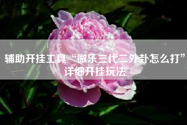 辅助开挂工具“微乐三代二外卦怎么打”详细开挂玩法