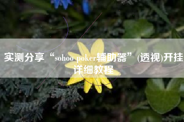实测分享“sohoo poker辅助器”(透视)开挂详细教程