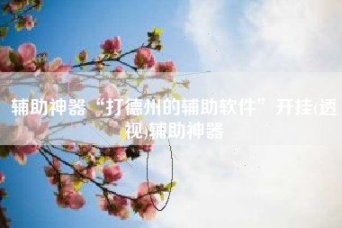 辅助神器“打德州的辅助软件	”开挂(透视)辅助神器