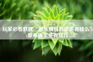 玩家必看教程“微乐麻将自建房有挂么”(原来确实是有插件