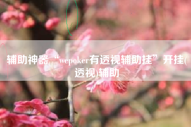 辅助神器“wepoker有透视辅助挂”开挂(透视)辅助
