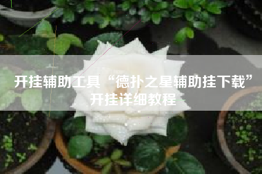 开挂辅助工具“德扑之星辅助挂下载	”开挂详细教程