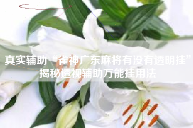 真实辅助“雀神广东麻将有没有透明挂	”揭秘透视辅助万能挂用法