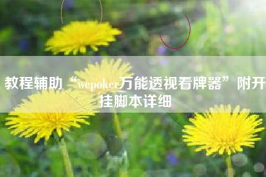 教程辅助“wepoker万能透视看牌器	”附开挂脚本详细