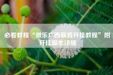 必看教程“微乐广西麻将开挂教程”附开挂脚本详细