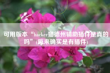 可用版本“hacker猫德州辅助插件是真的吗”(原来确实是有插件)