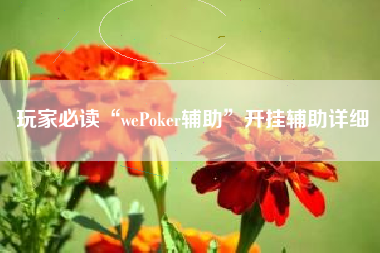 玩家必读“wePoker辅助”开挂辅助详细