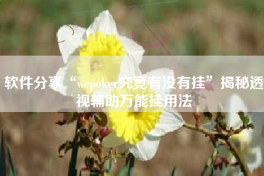软件分享“wepoker究竟有没有挂”揭秘透视辅助万能挂用法
