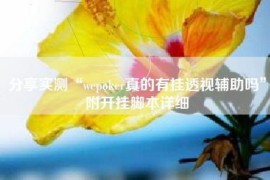 分享实测“wepoker真的有挂透视辅助吗”附开挂脚本详细