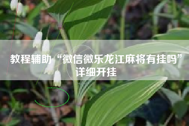 教程辅助“微信微乐龙江麻将有挂吗”详细开挂