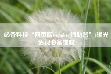 必备科技“网页版wepoker辅助器”(曝光透视必备猫腻