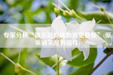 专家分析“微乐游戏辅助器免费版”(原来确实是有插件)