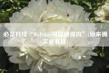 必备科技“WePoker可以透视吗”(原来确实是有挂)