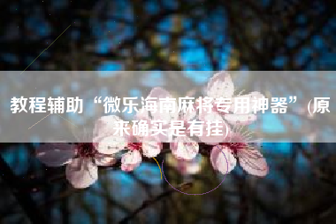 教程辅助“微乐海南麻将专用神器	”(原来确实是有挂)