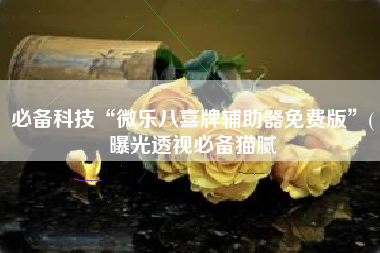 必备科技“微乐八喜牌辅助器免费版	”(曝光透视必备猫腻