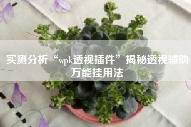 实测分析“wpk透视插件”揭秘透视辅助万能挂用法