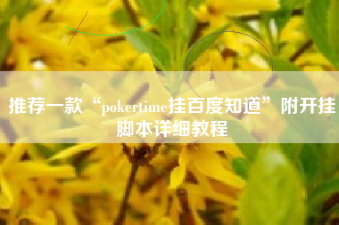 推荐一款“pokertime挂百度知道”附开挂脚本详细教程