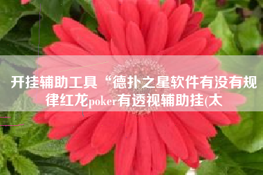 开挂辅助工具“德扑之星软件有没有规律红龙poker有透视辅助挂(太
