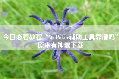 今日必看教程“WePoker辅助工具靠谱吗”原来有神器下载