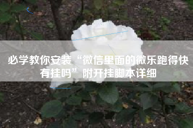 必学教你安装“微信里面的微乐跑得快有挂吗”附开挂脚本详细
