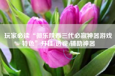 玩家必读“微乐陕西三代必赢神器游戏特色”开挂(透视)辅助神器