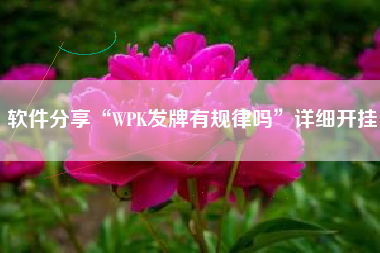 软件分享“WPK发牌有规律吗	”详细开挂