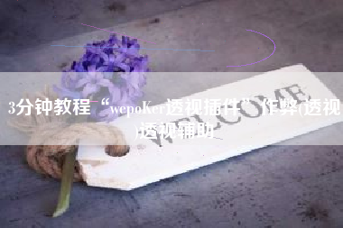 3分钟教程“wepoKer透视插件”作弊(透视)透视辅助