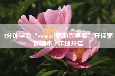 3分钟学会“wepoker辅助哪里买	”开挂辅助脚本+详细开挂
