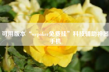 可用版本“wepoker免费挂	”科技辅助神器手机