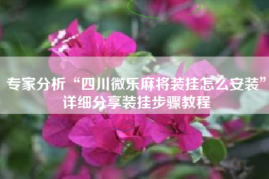 专家分析“四川微乐麻将装挂怎么安装”详细分享装挂步骤教程