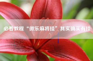 必看教程“微乐麻将挂”其实确实有挂