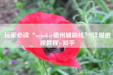 玩家必读“wepoker德州辅助挂	”(详细透视教程)-知乎