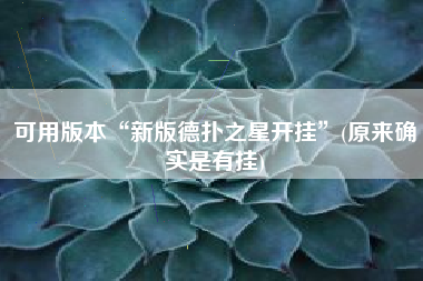 可用版本“新版德扑之星开挂	”(原来确实是有挂)
