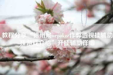 教程分享“德州局wepoker作弊透视挂辅助挂游戏介绍”开挂辅助详细