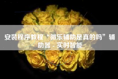 安装程序教程“微乐辅助是真的吗	”辅助器 - 实时智能