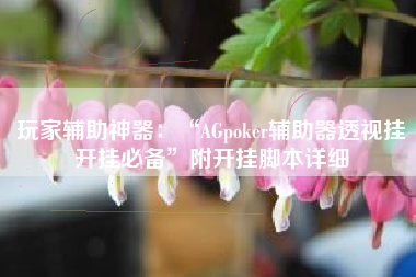 玩家辅助神器：“AGpoker辅助器透视挂开挂必备”附开挂脚本详细