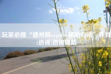 玩家必搜“德州局wepoker辅助方法”作弊(透视)透视辅助