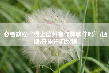 必看教程“线上德州有作弊软件吗	”(透视)开挂详细教程