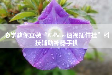 必学教你安装“WePoker透视插件挂”科技辅助神器手机