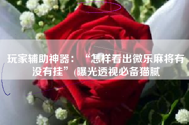 玩家辅助神器：“怎样看出微乐麻将有没有挂”(曝光透视必备猫腻