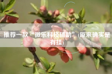 推荐一款“微乐科技辅助”(原来确实是有挂)