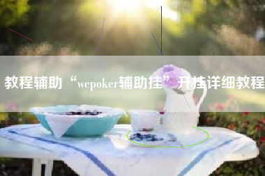 教程辅助“wepoker辅助挂”开挂详细教程